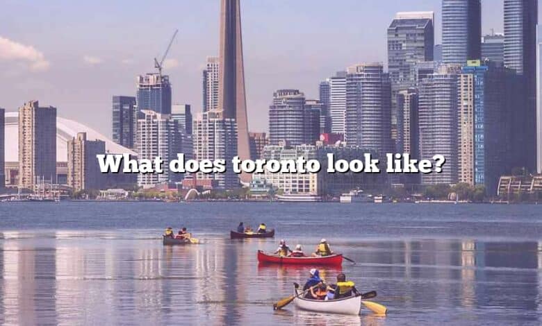 What does toronto look like?