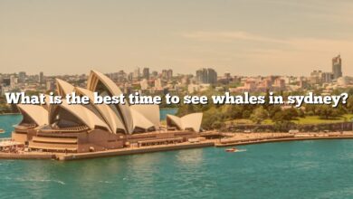 What is the best time to see whales in sydney?