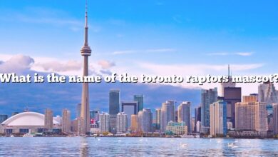 What is the name of the toronto raptors mascot?