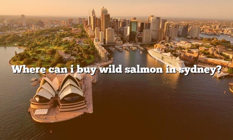 Where can i buy wild salmon in sydney?