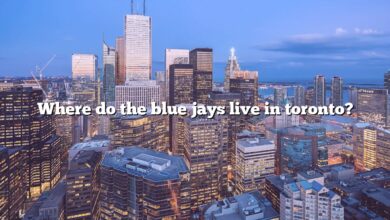 Where do the blue jays live in toronto?