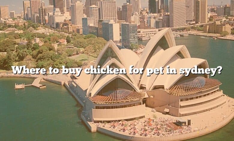 Where to buy chicken for pet in sydney?