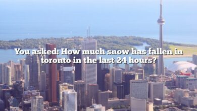 You asked: How much snow has fallen in toronto in the last 24 hours?