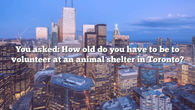 You asked: How old do you have to be to volunteer at an animal shelter in Toronto?