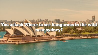 You asked: Where to see kangaroos in the wild near sydney?